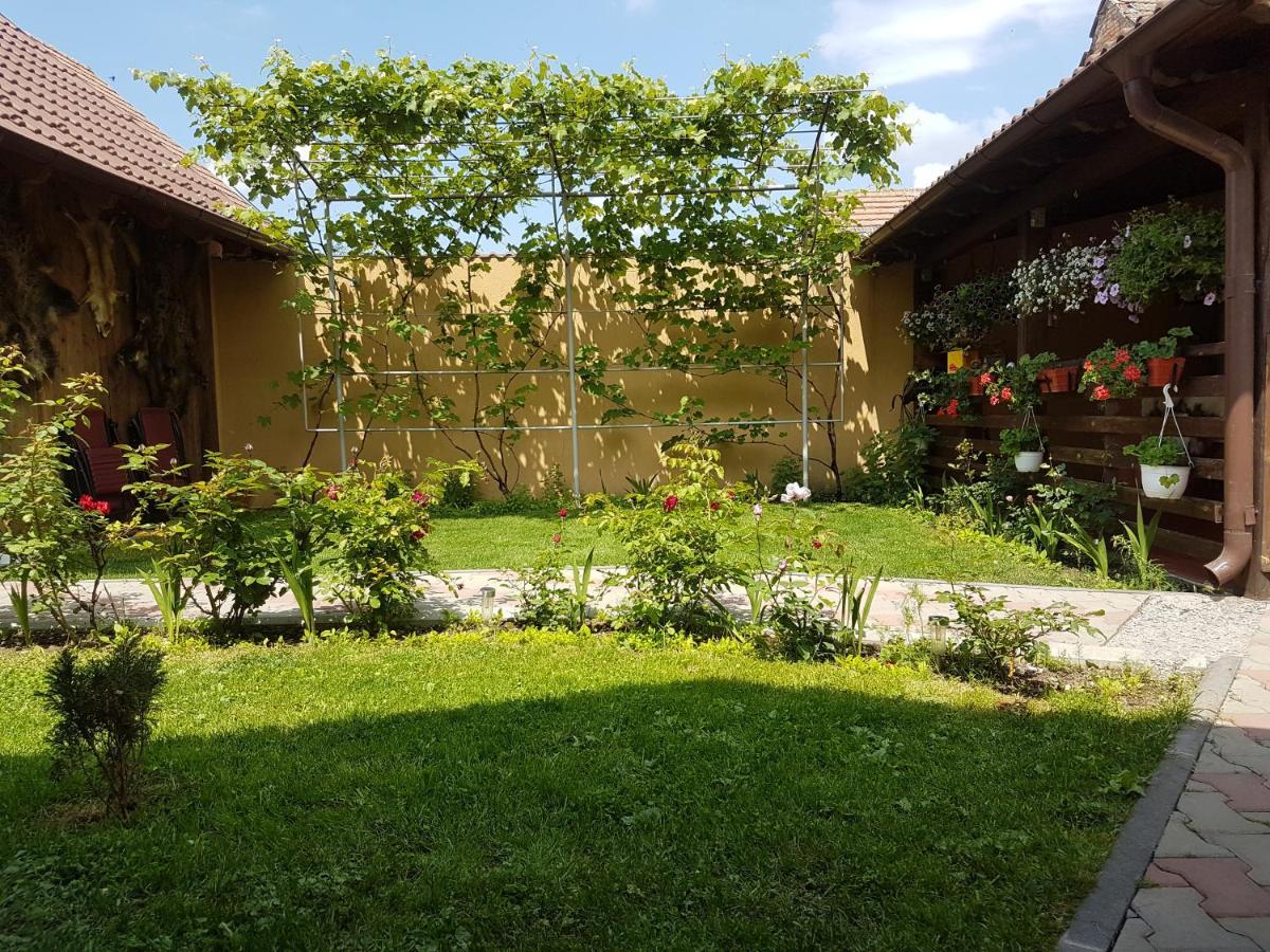 Вилла Casa Ovesia Сэчеле Экстерьер фото